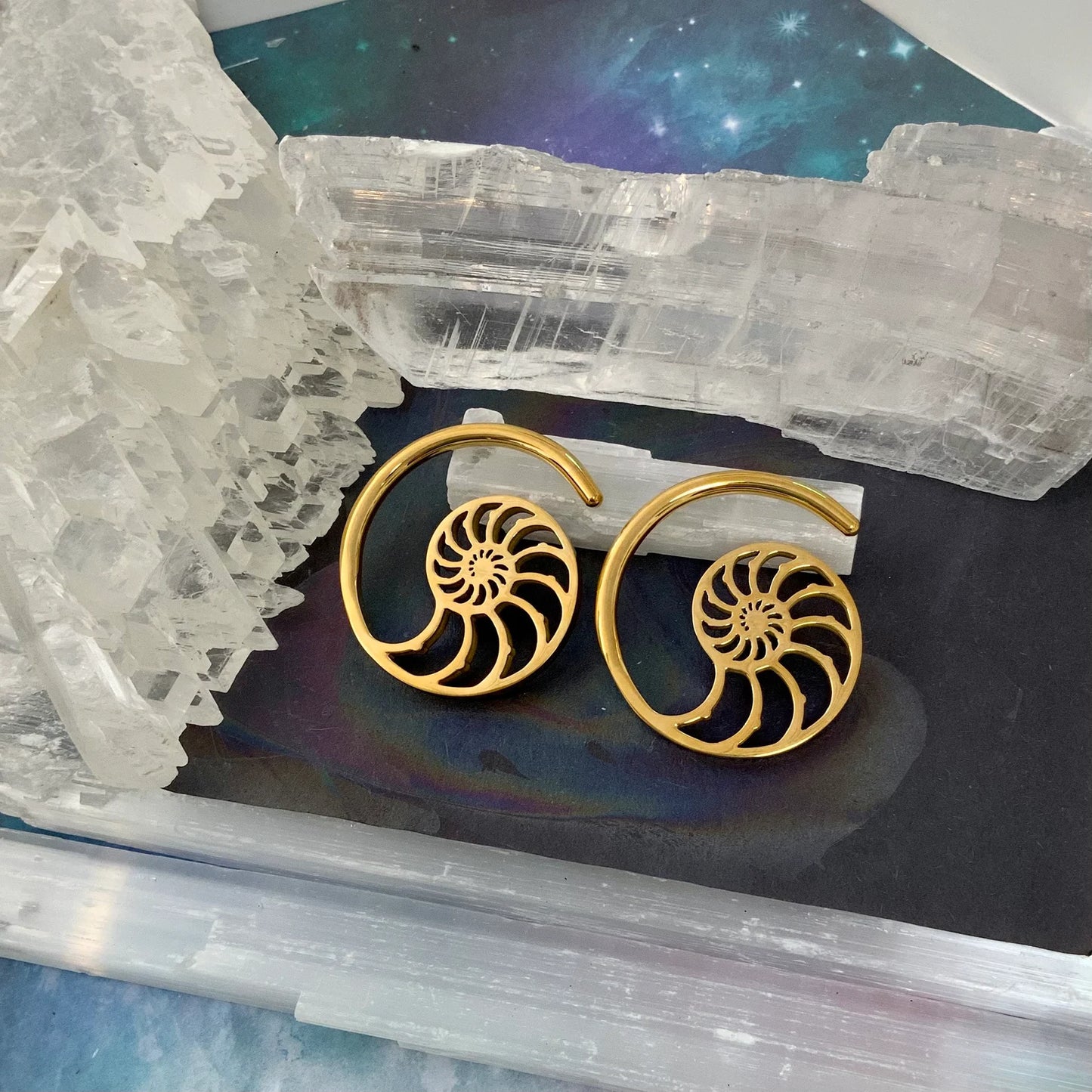 Nautilus Spiral Ear Weights