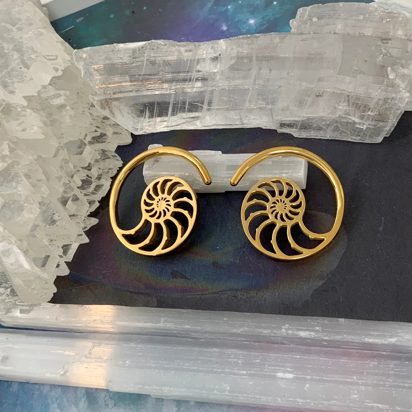 Nautilus Spiral Ear Weights