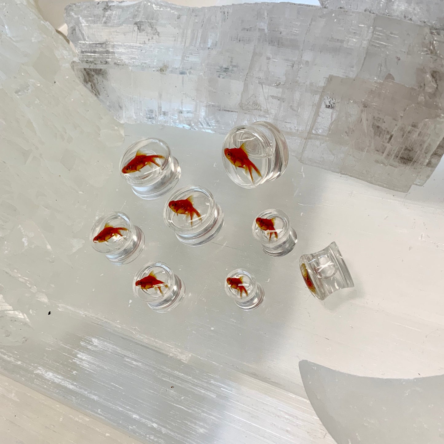 Goldfish Liquid Ear Plugs