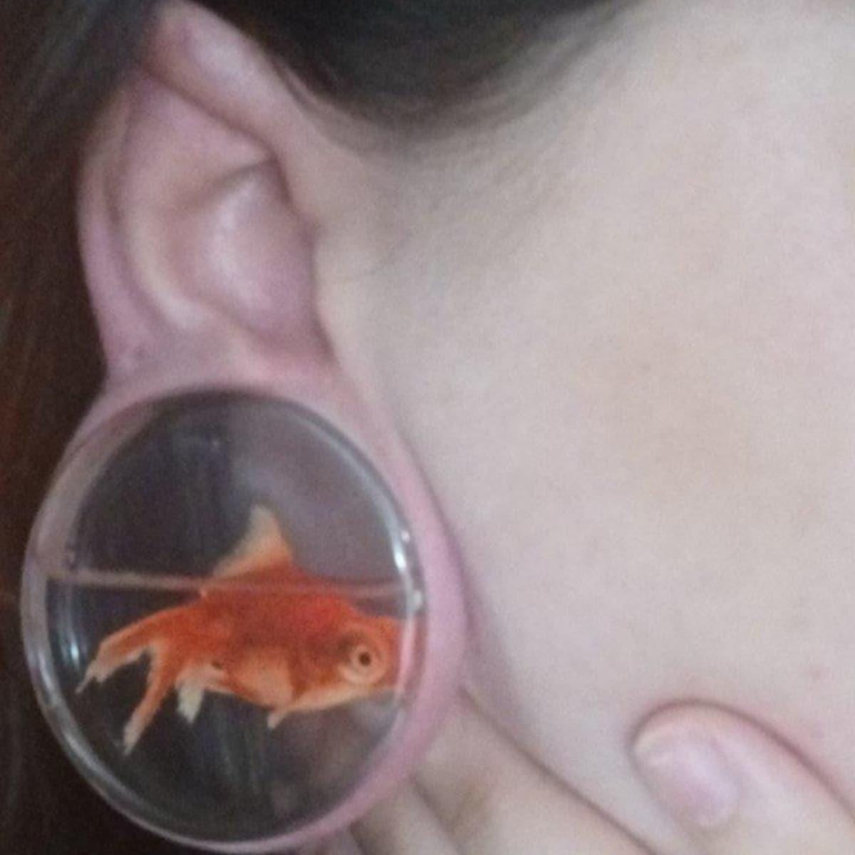 Goldfish Liquid Ear Plugs