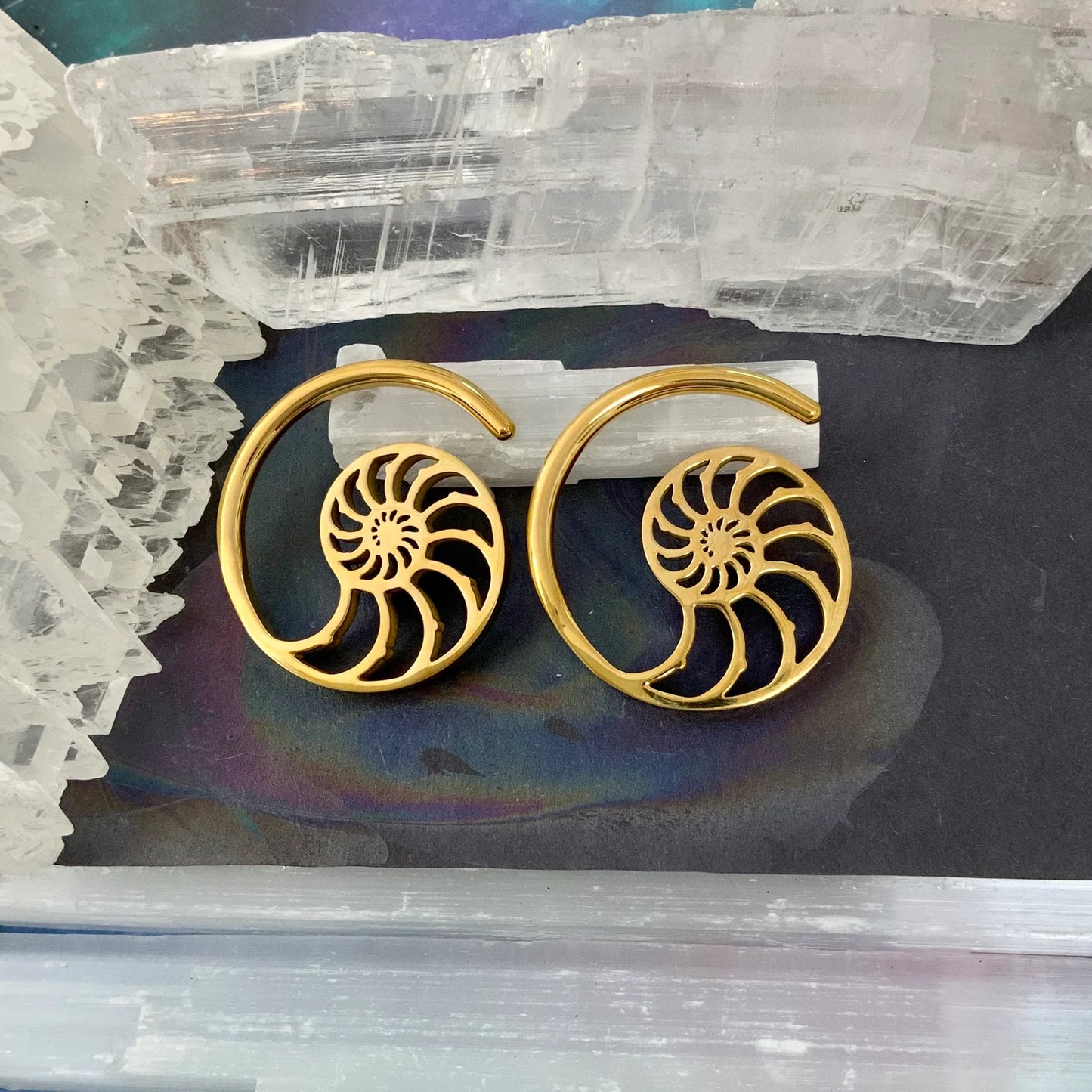Nautilus Spiral Ear Weights