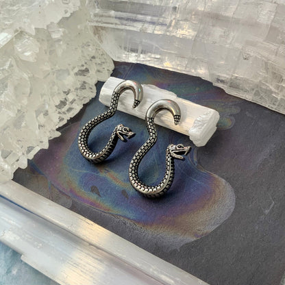 Bright Medusa Silver Snake Weights