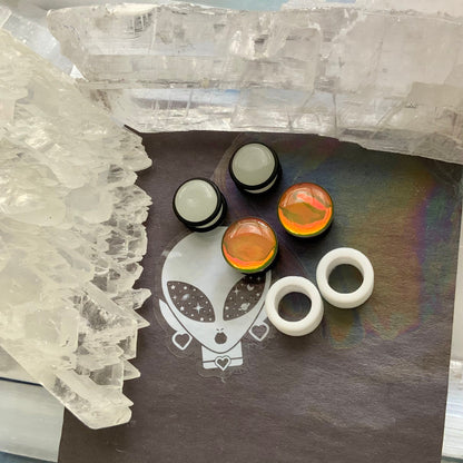 Mixed Plugs & Tunnels Grab Bag by Theme!