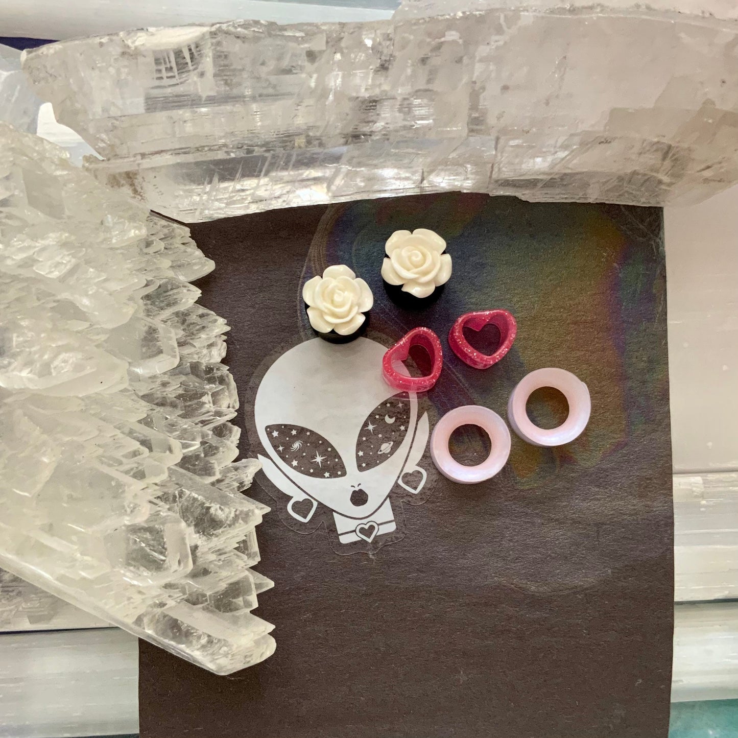 Mixed Plugs & Tunnels Grab Bag by Theme!