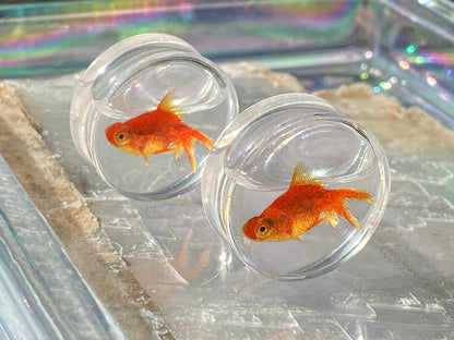 Goldfish Liquid Ear Plugs