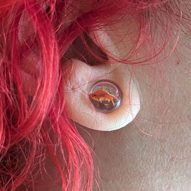 Goldfish Liquid Ear Plugs